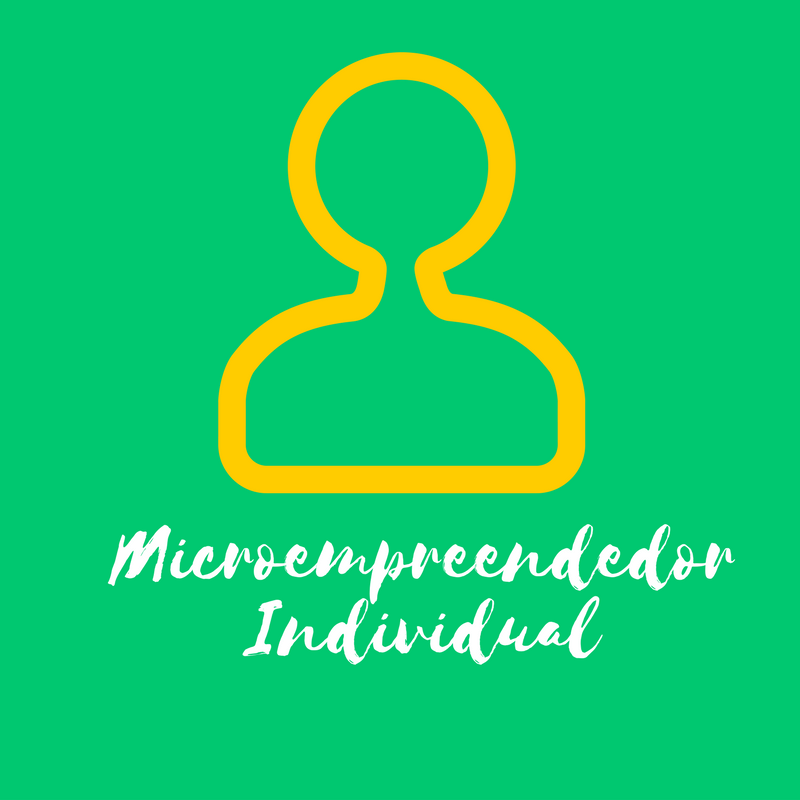 Microempreendedor Individual